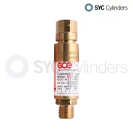 Safety Non-Return Valve Acetylene